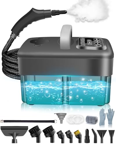 Mecmic Steam Cleaner Review: A Portable Steamer for Tile, Grease and Detailing